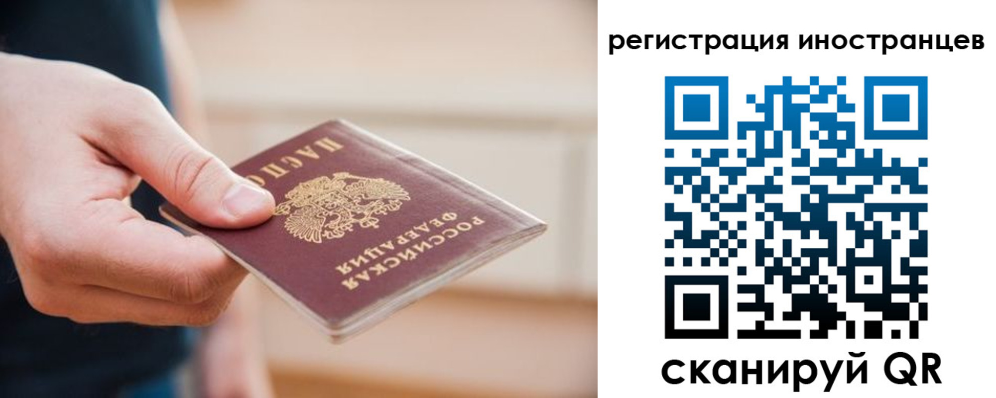 прописка гарантия в Находке